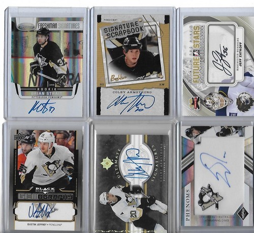 Pittsburgh penguins - penguins, 6