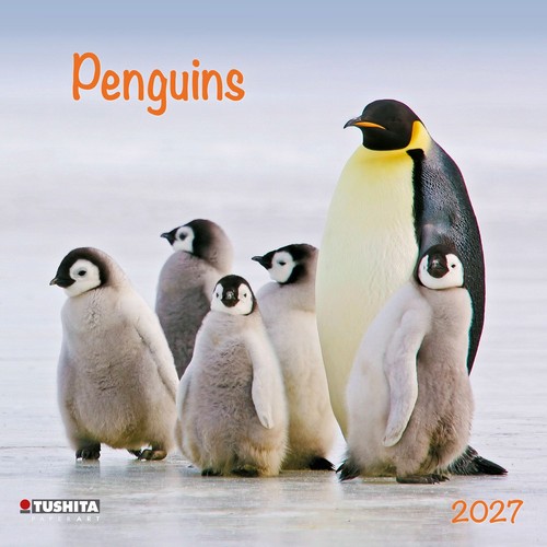 Penguins 2027 kalender - penguins,