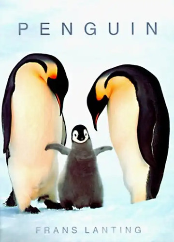 Penguin lanting - penguin, (photobook)