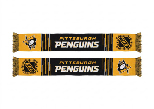 Pittsburgh penguins nhl - pittsburgh,